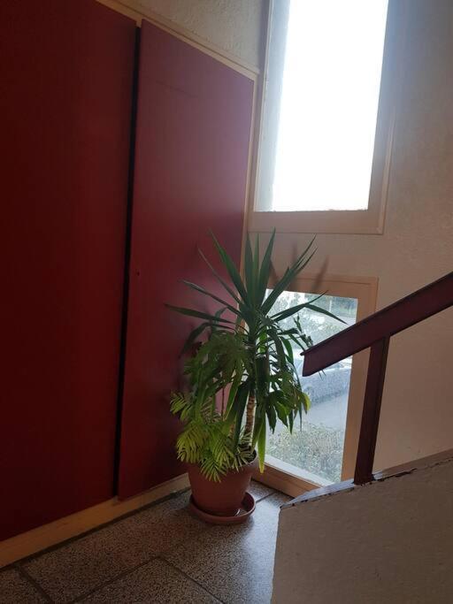 Superbe Appartement En Residence Prive Avec Un Parking Prive Scionzier Екстер'єр фото